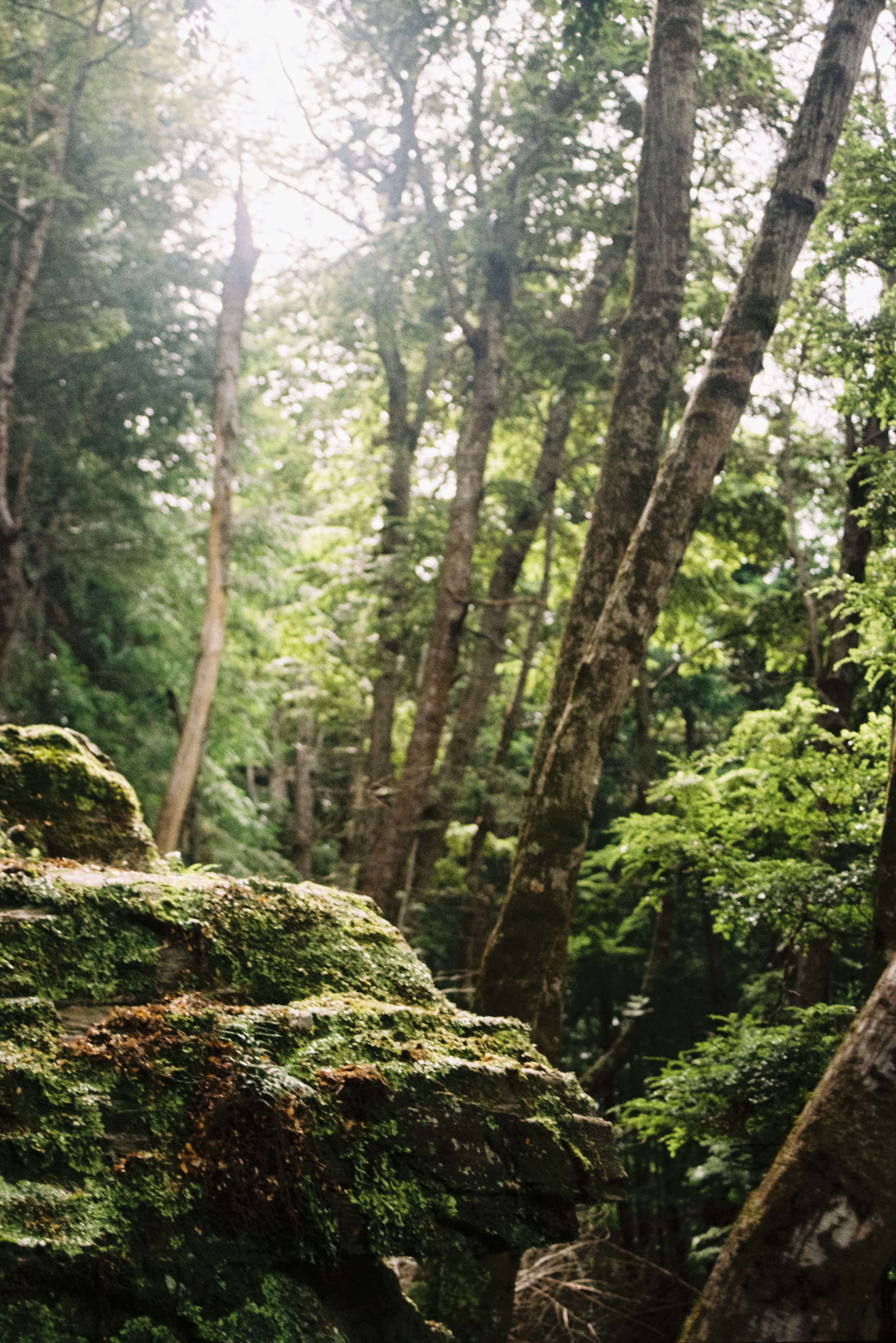 Holidays on film